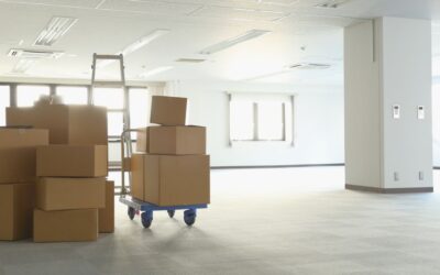 Transporte Nacional e Internacional